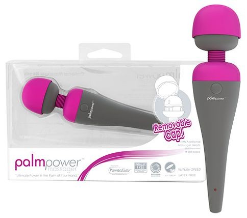 Palm Power Massager - 220 Volt